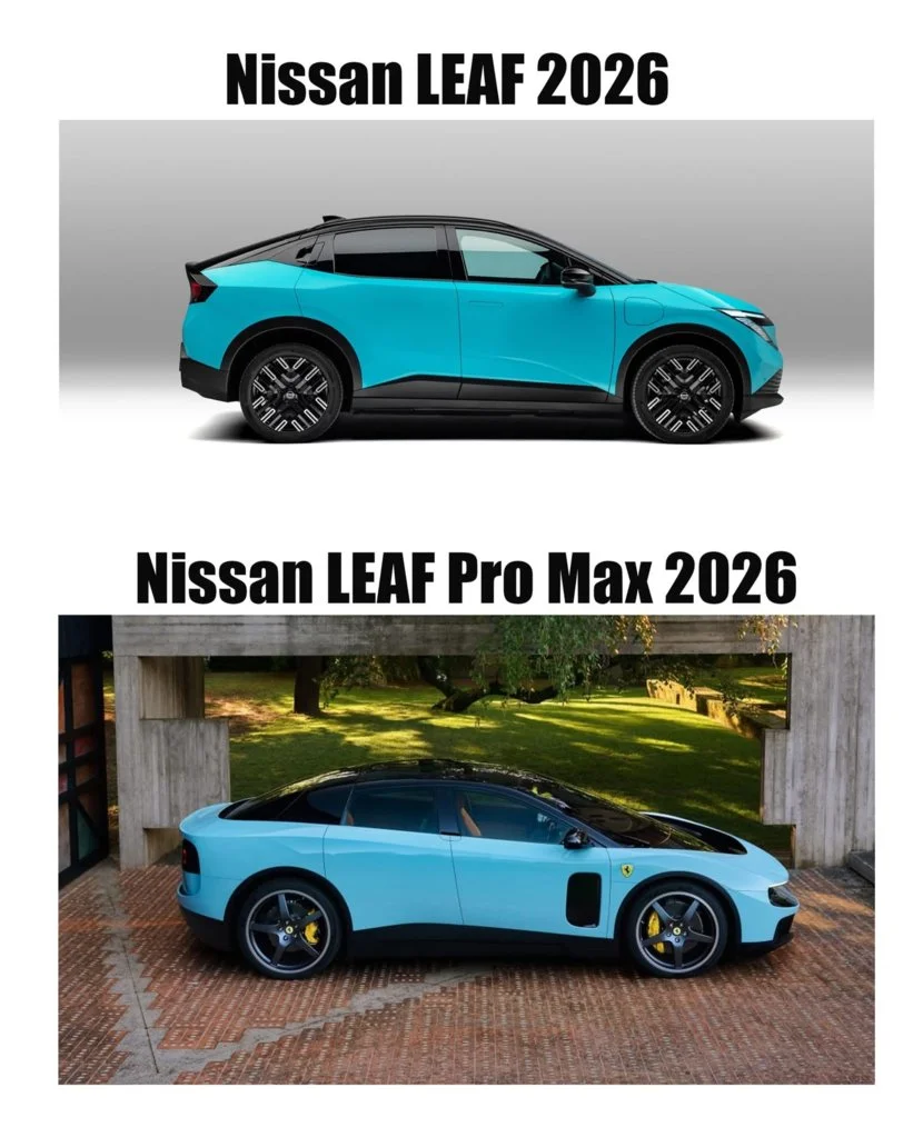 Leaf.webp
