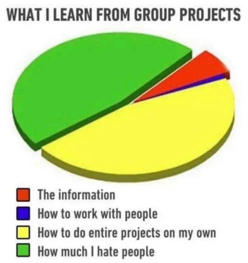 learn-group-projects-pie-chart-do-own-hate-people.webp