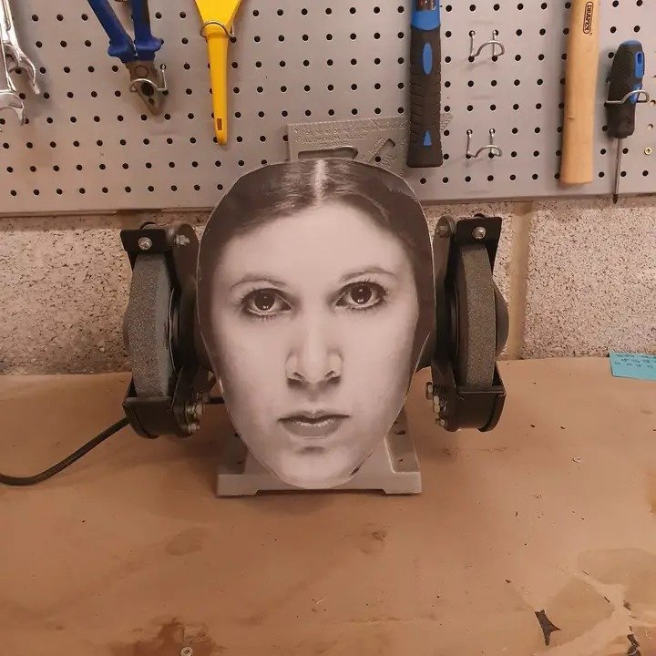 Leia.jpg