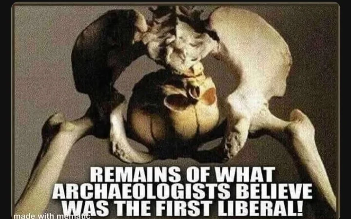 Liberal.webp