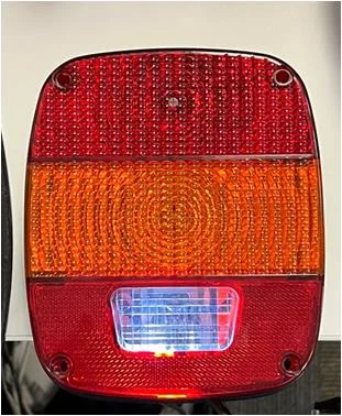 License plate light bleed through.jpg