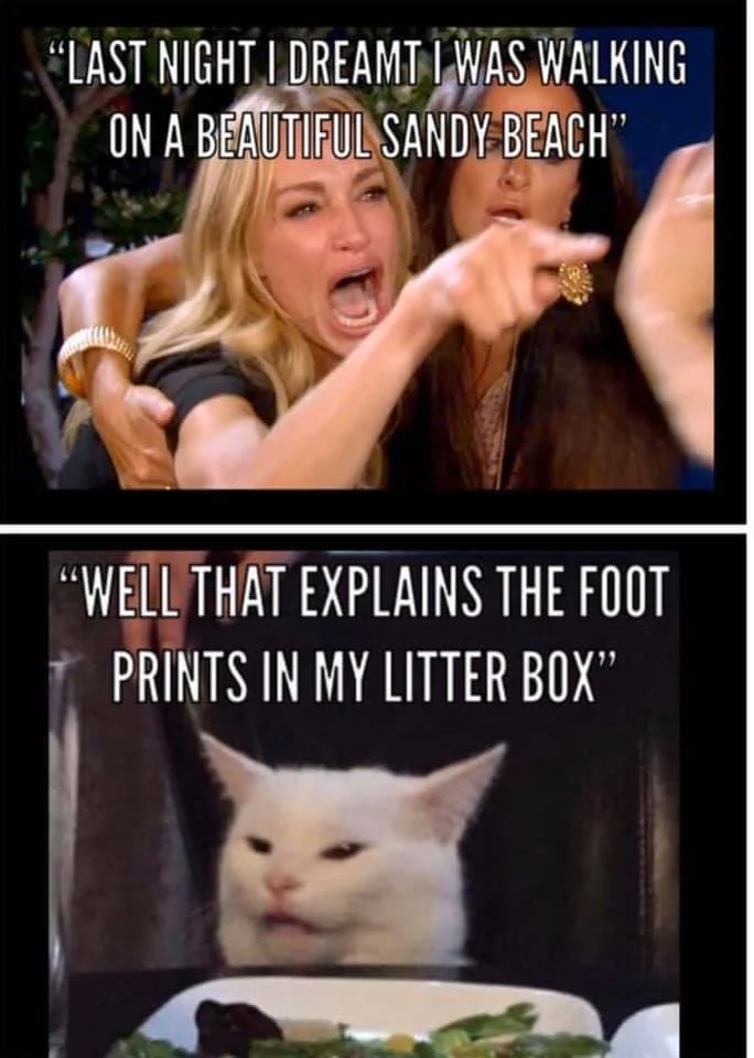 litter.webp
