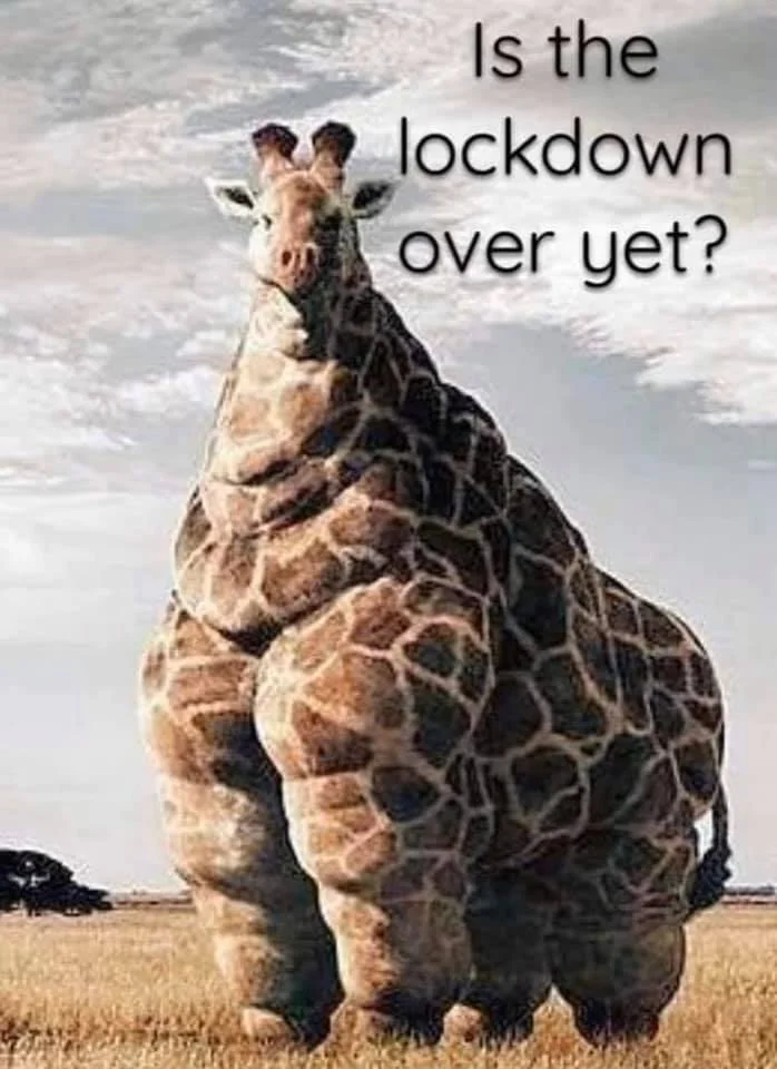 lockdown.webp