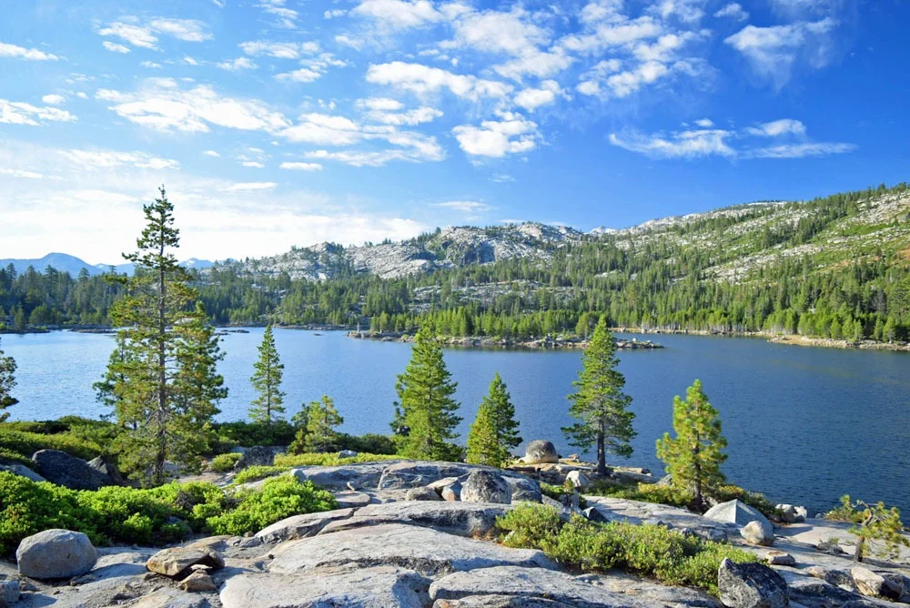 Loon Lake.jpg