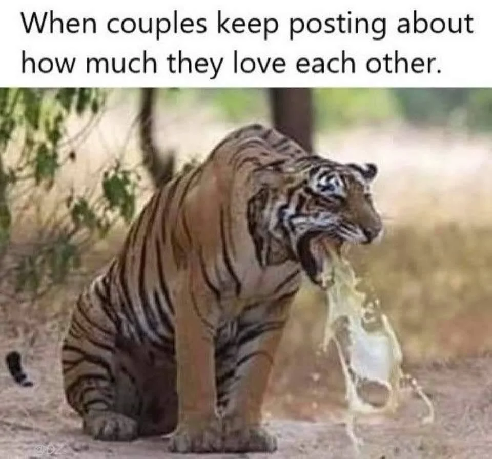 love.webp