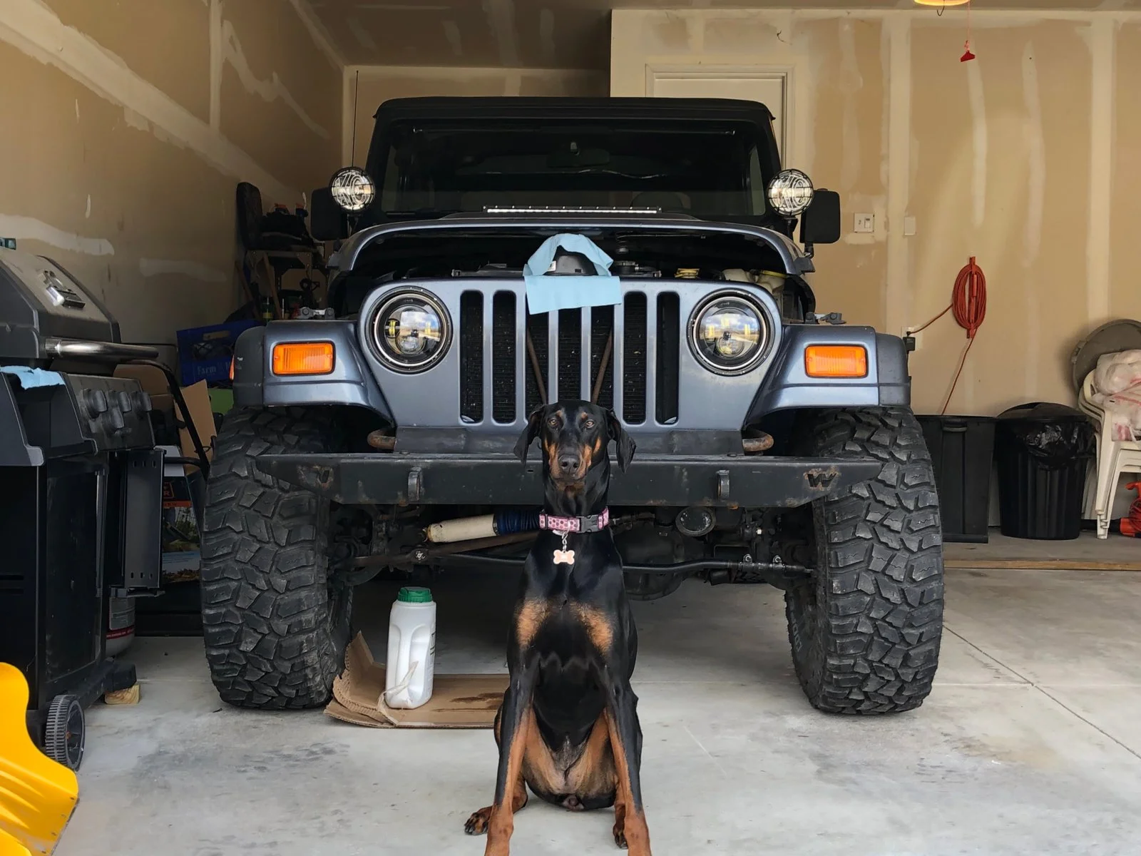 Lucy_Lu_and_Jeep_TJ.webp