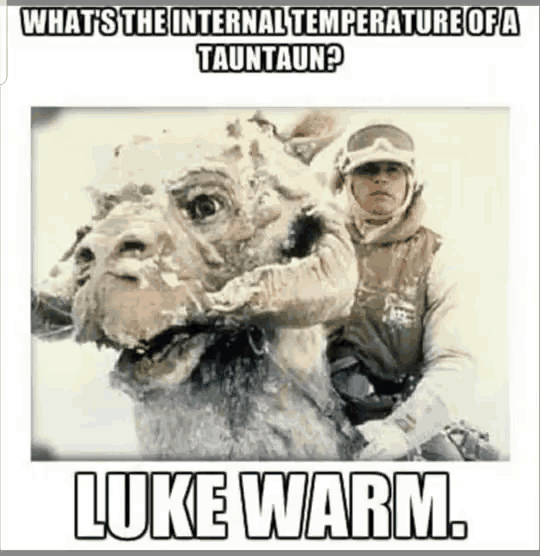 luke-warm-tauntaun.gif