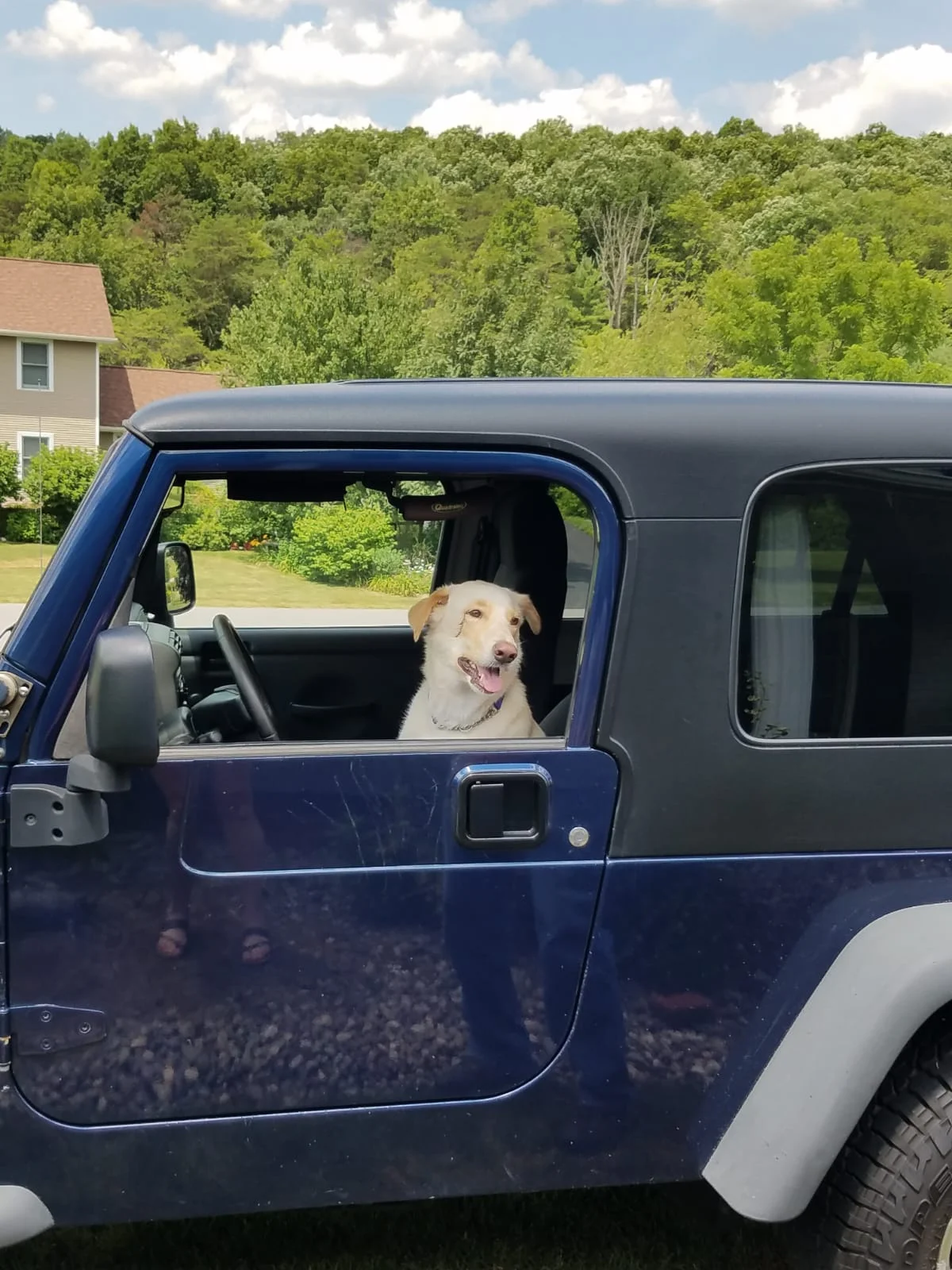 LukesJeep.webp