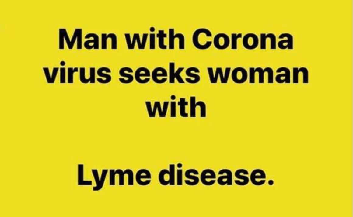 lyme.webp
