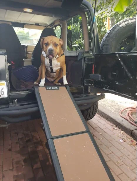 Macho Jeep1.webp