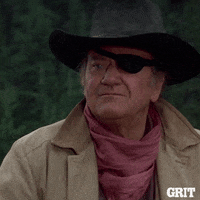 majm99bmyk5fd0kd5me5ppt&ep=v1_gifs_search&rid=200w.gif
