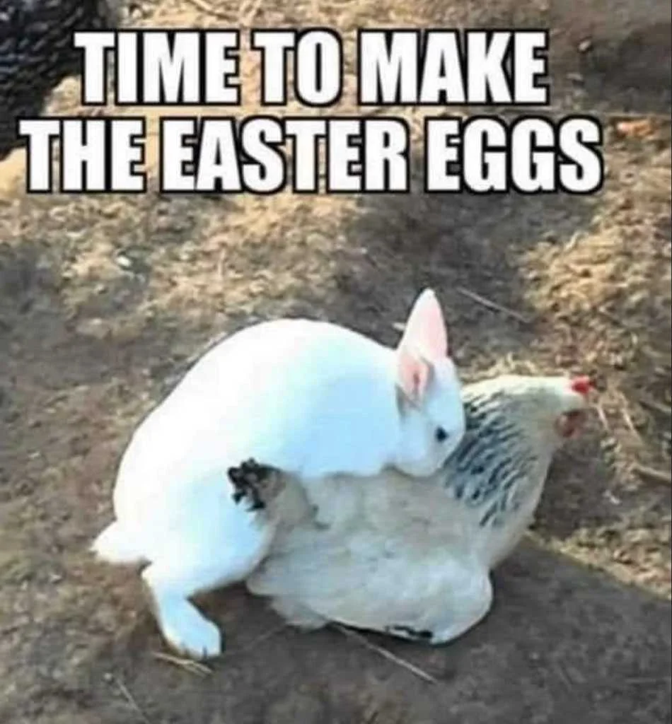 Make Easter Eggs.png