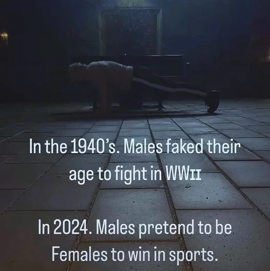 Males Pretend - t.webp