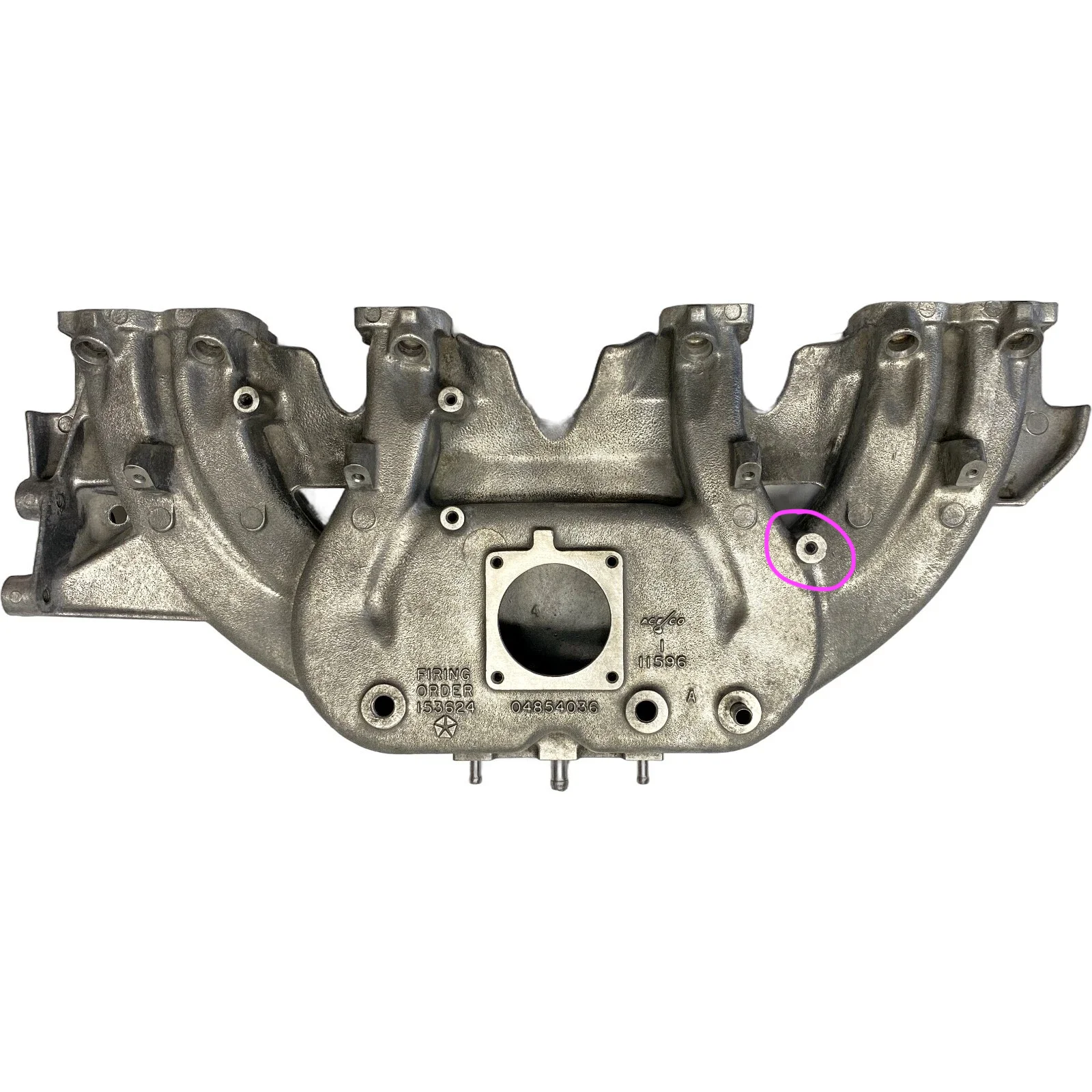 manifold_new.webp