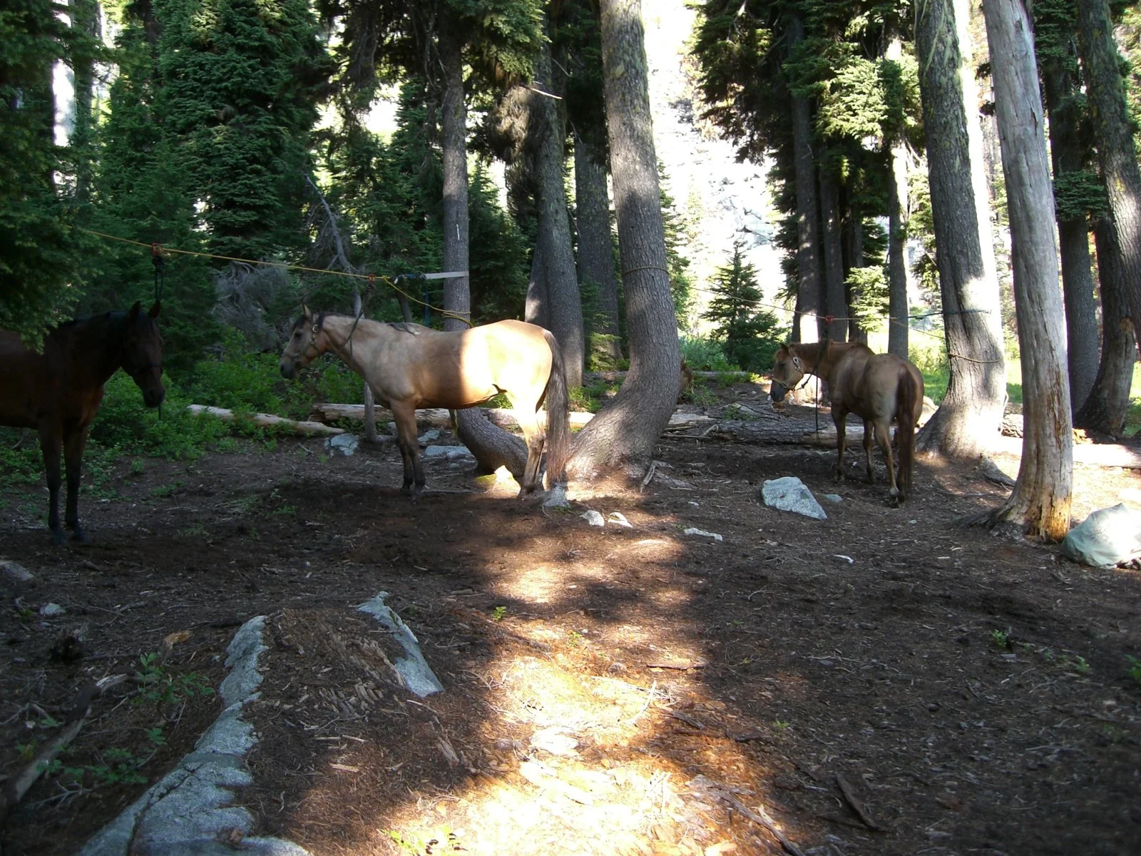 Marbel Mountain Wilderness 040.webp