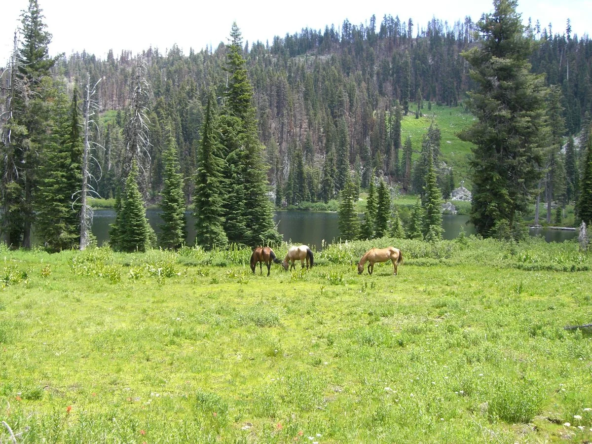 Marbel Mountain Wilderness 073.webp