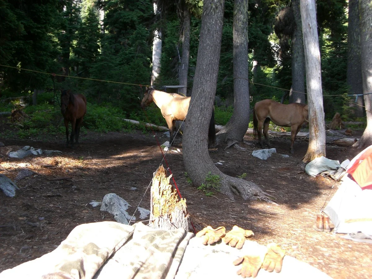 Marbel Mountain Wilderness 087.webp