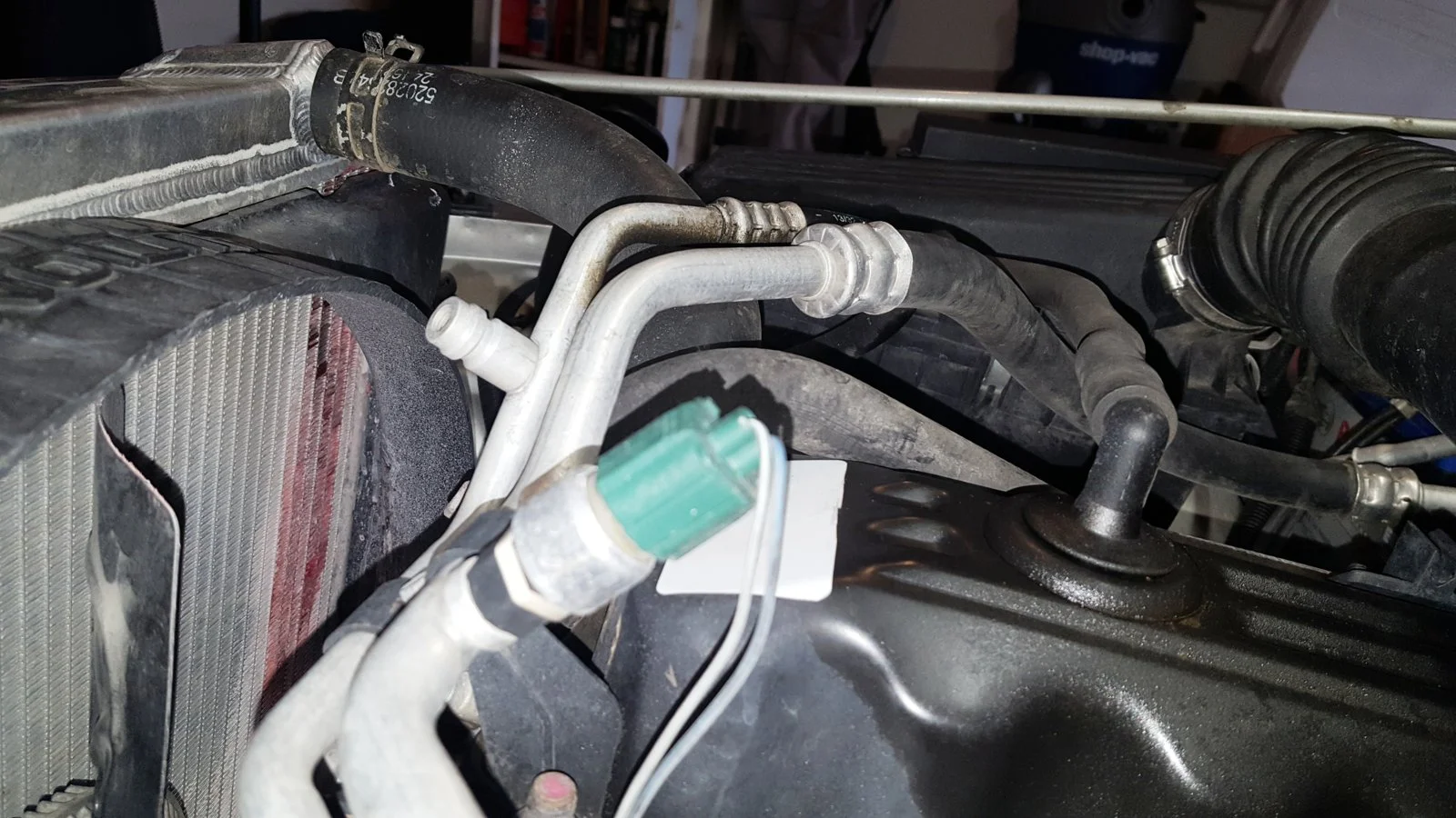 mark dumais radiator.webp