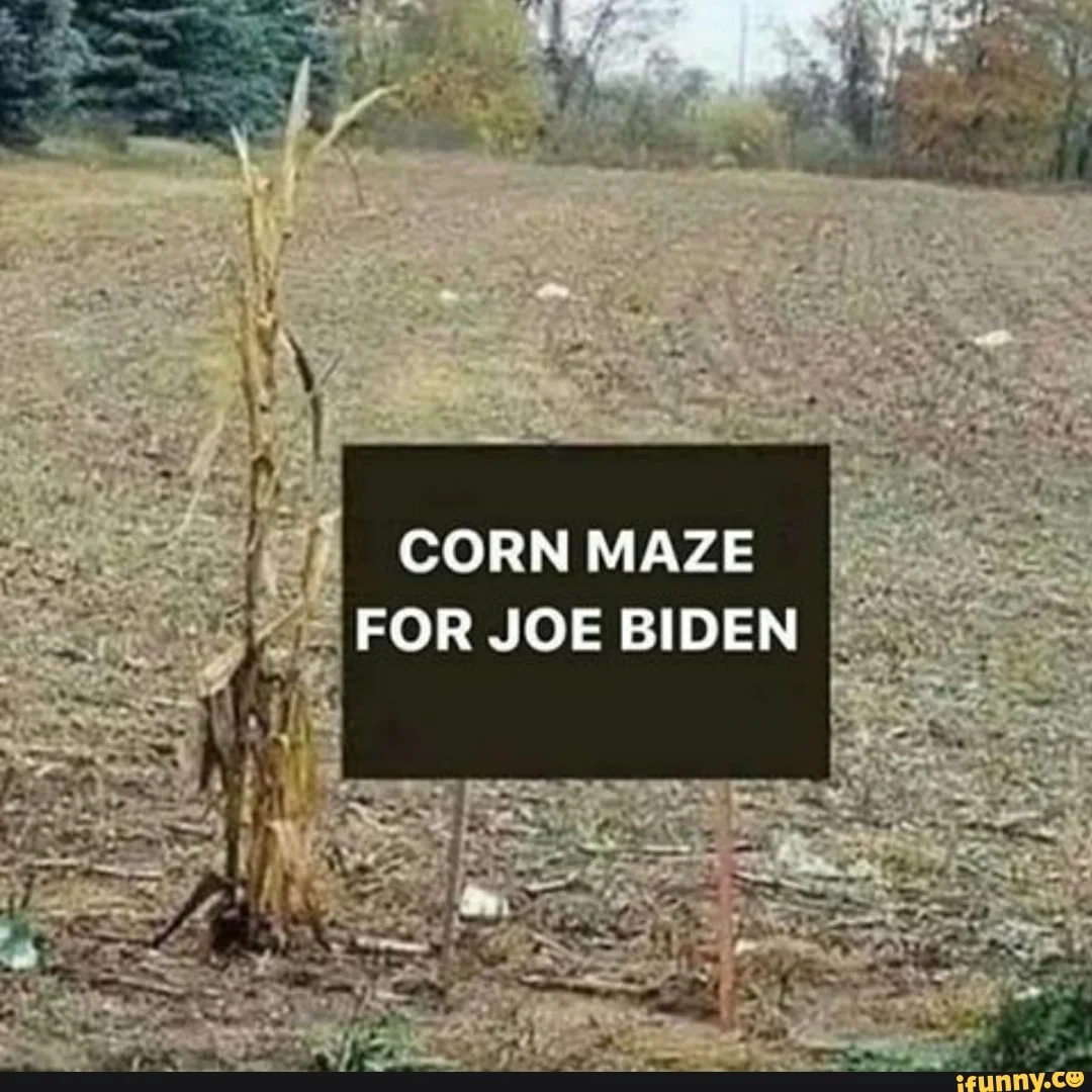 maze.webp