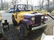 mcclasky_cj5.webp