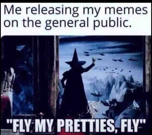 me-releasing-memes-to-public-fly-my-pretties-witch.jpg