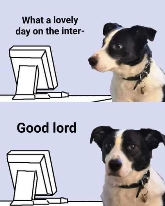 memememem006.webp