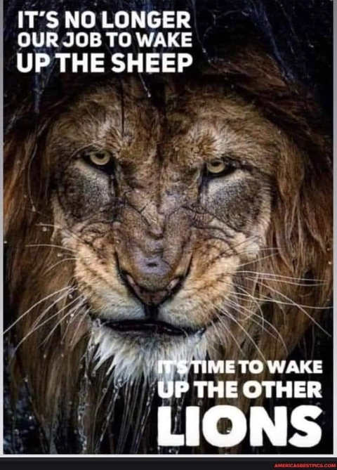 message-no-longer-job-wake-up-sheep-now-other-lions.jpg