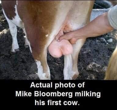 milking.jpg