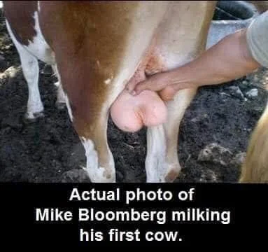 milking.webp