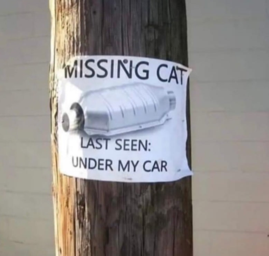 Missing Cat - tr.png