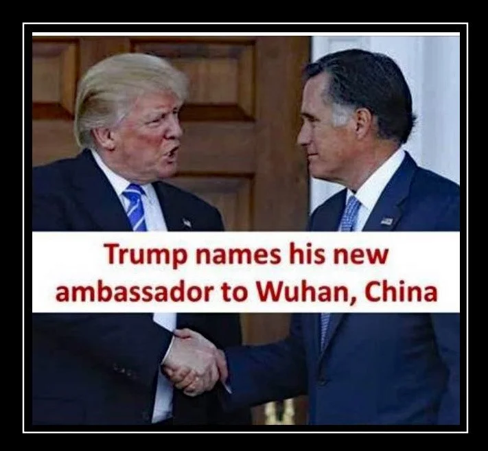 Mitt.webp