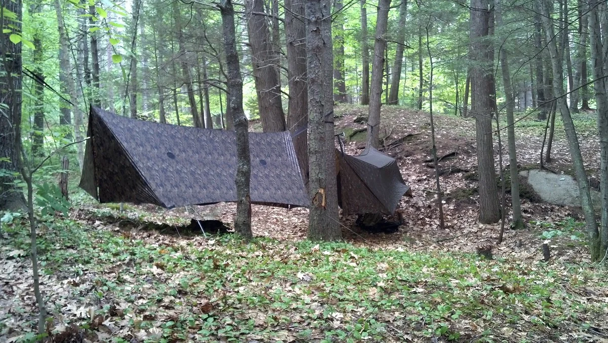 mncamp1.webp
