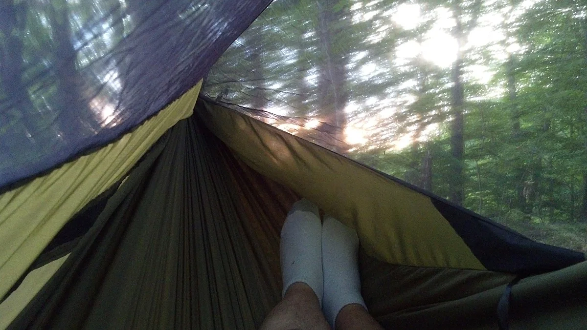 mock5AM.webp