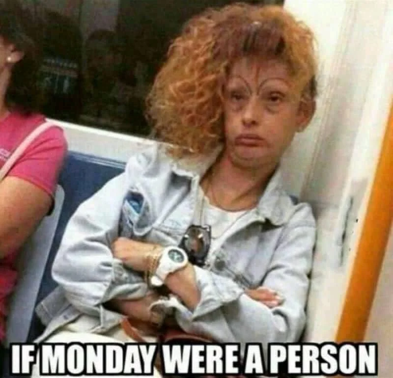 monday.webp