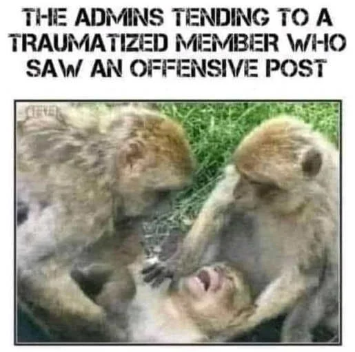 monkeys-admin-tending-to-traumatized-member-offensive-post.webp