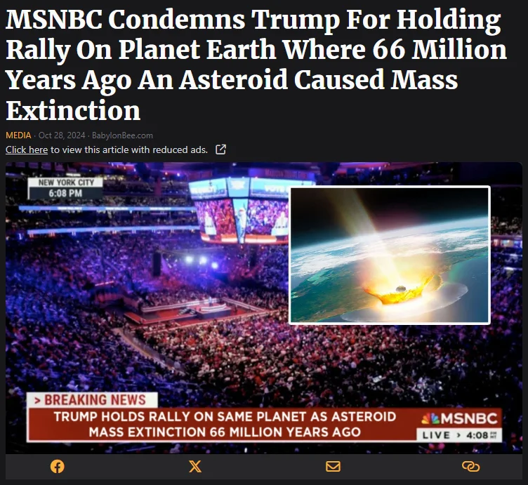 MSNBC.webp