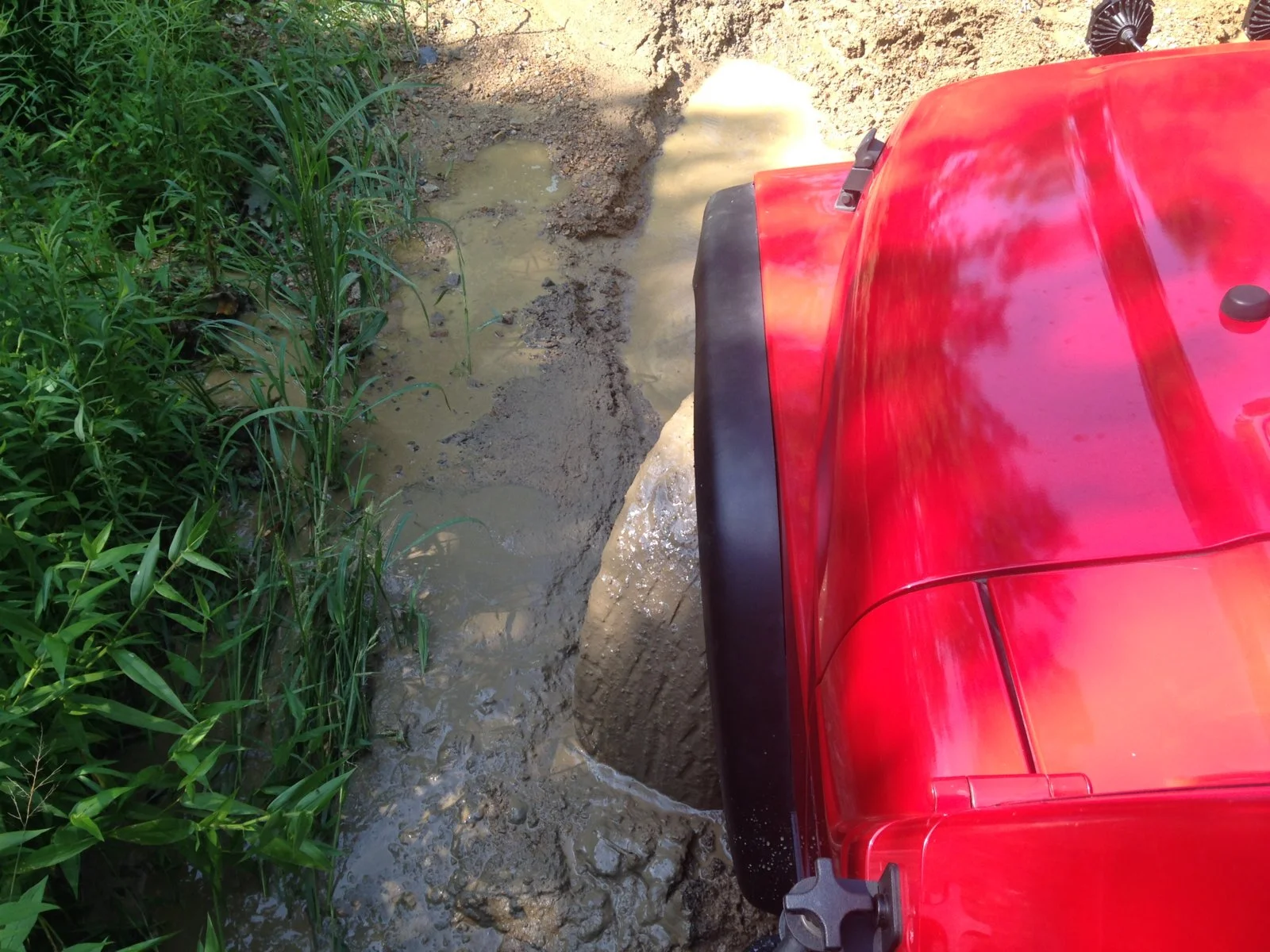 mud.webp
