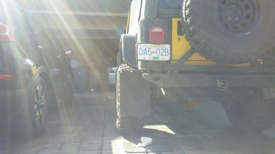 mudflap.jpg