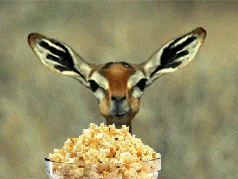 munch.gif