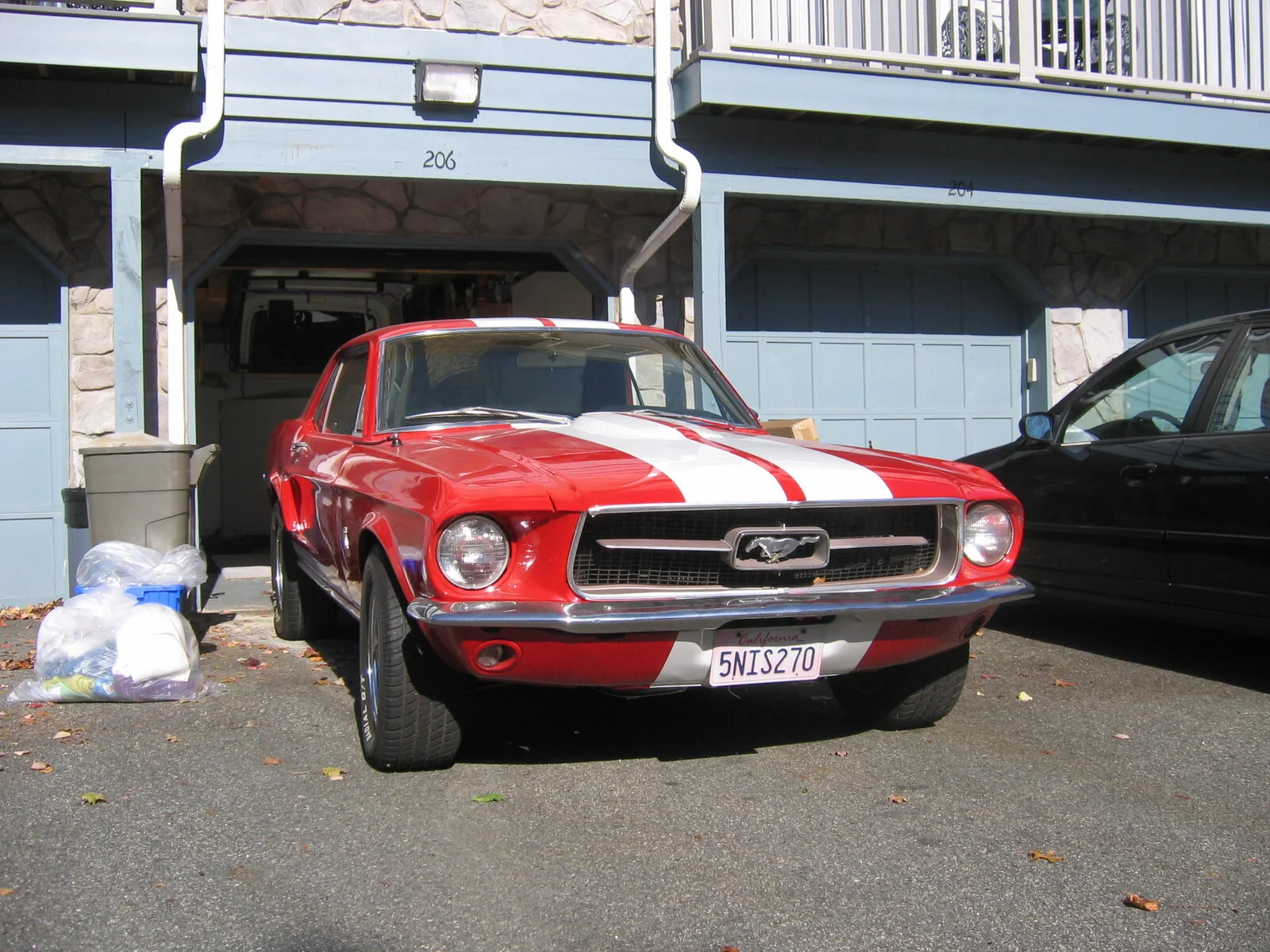 mustang 003.jpg