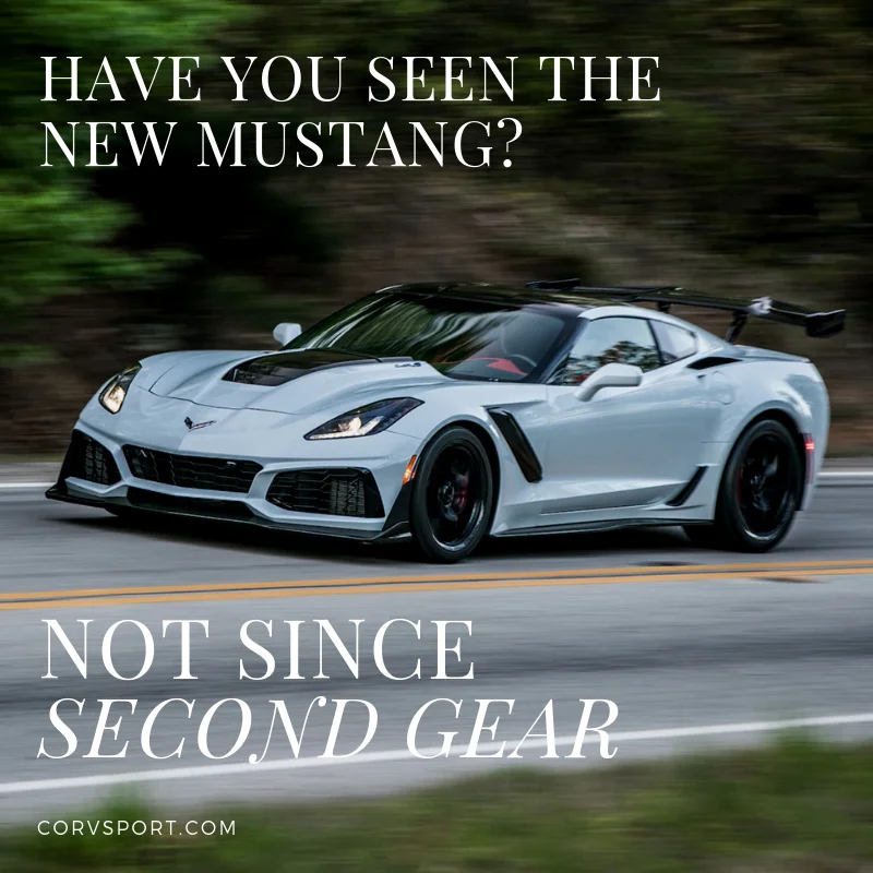 mustang.webp