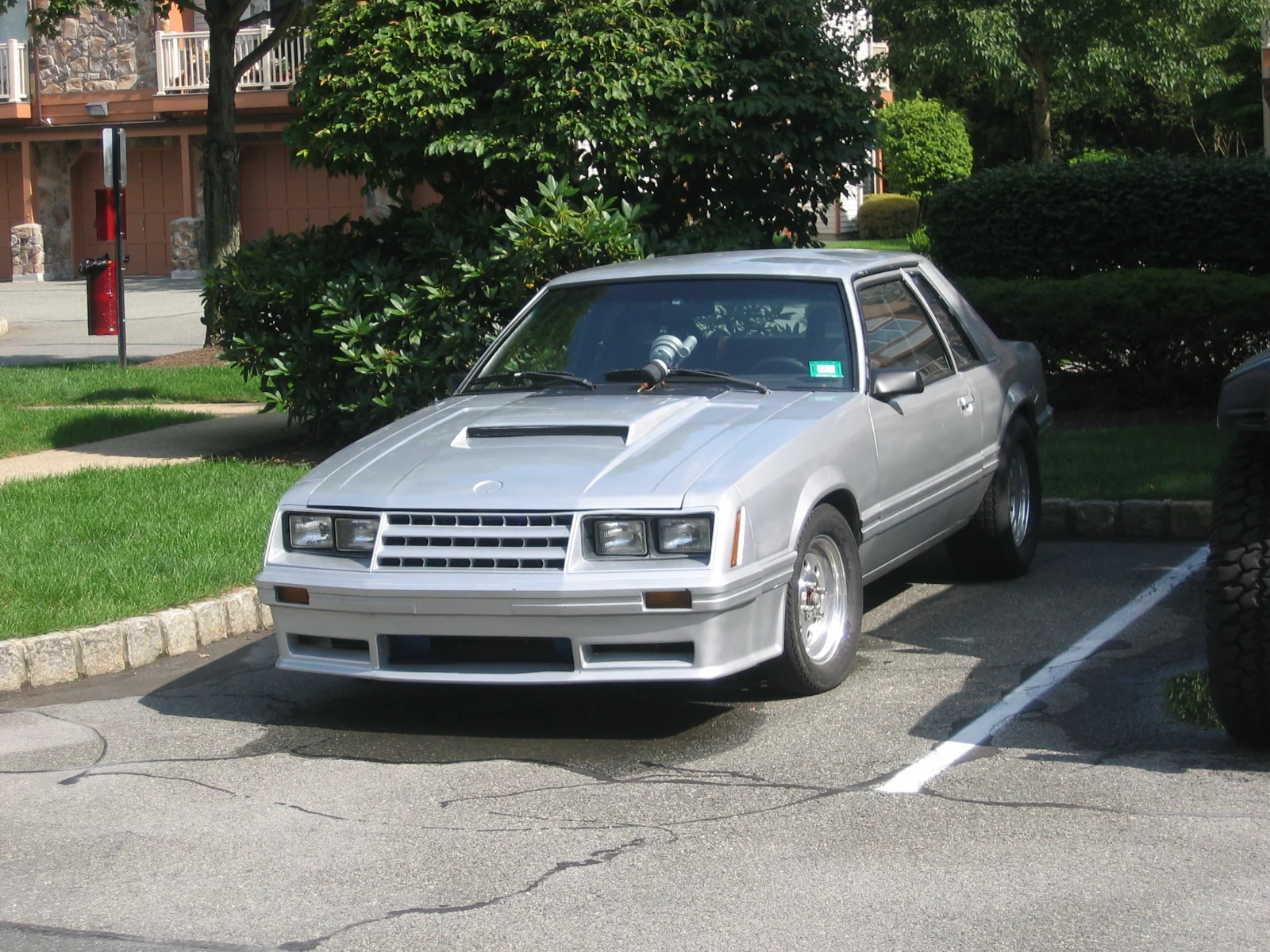 mustang1 002.jpg