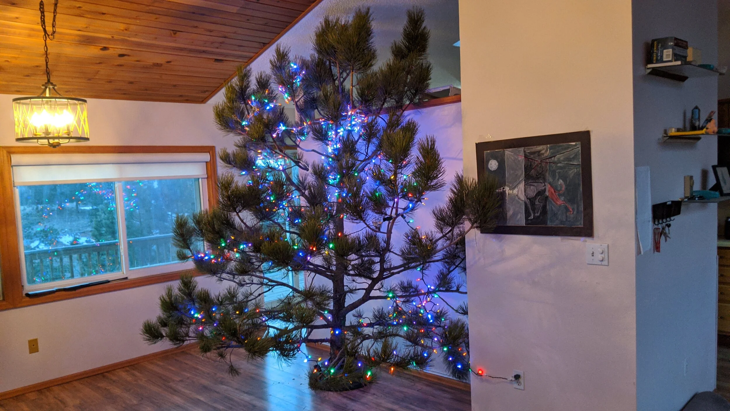 MVIMG_20241222_164748.webp