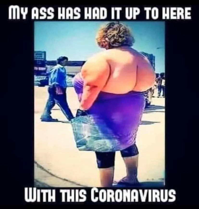 my ass.webp