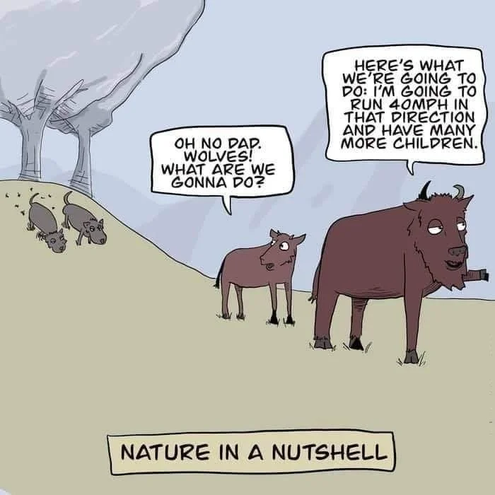Nature.webp