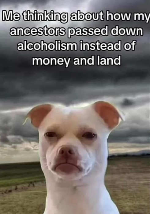 me thinking ancestors passed down alcoholism not money land