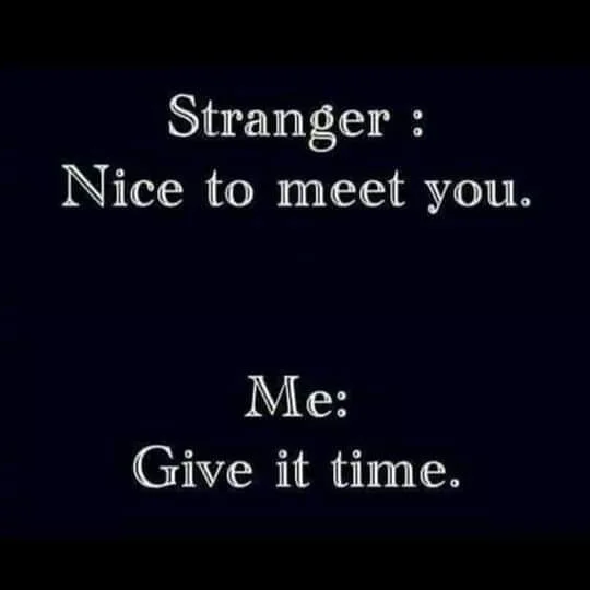 nice2meet.webp