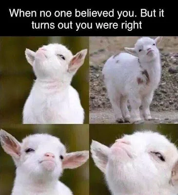 None Believed.webp