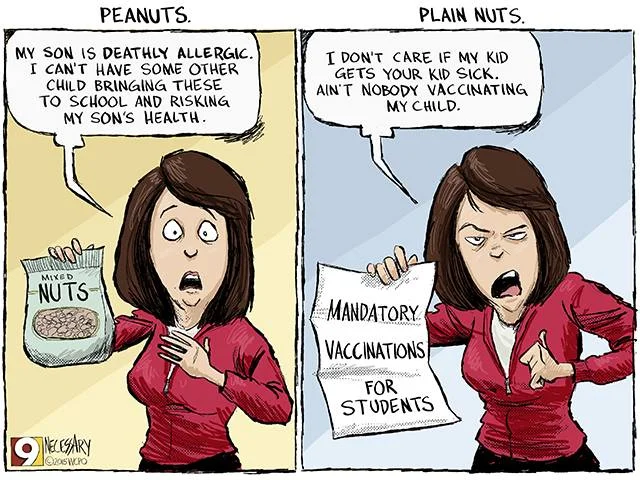 nuts.webp