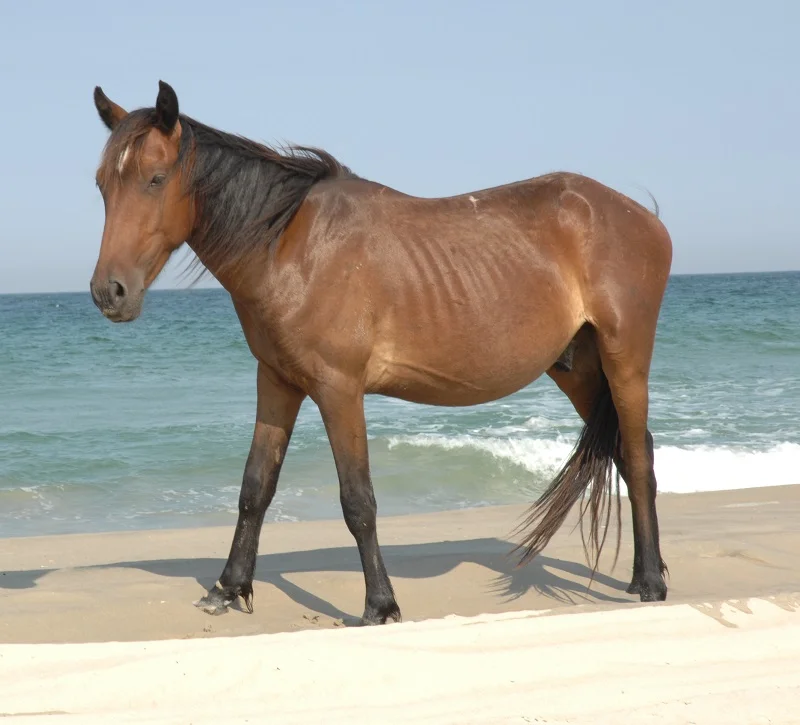 O1rf1zw.webp